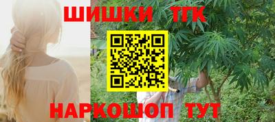 индика Можга
