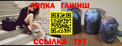 индика Можга