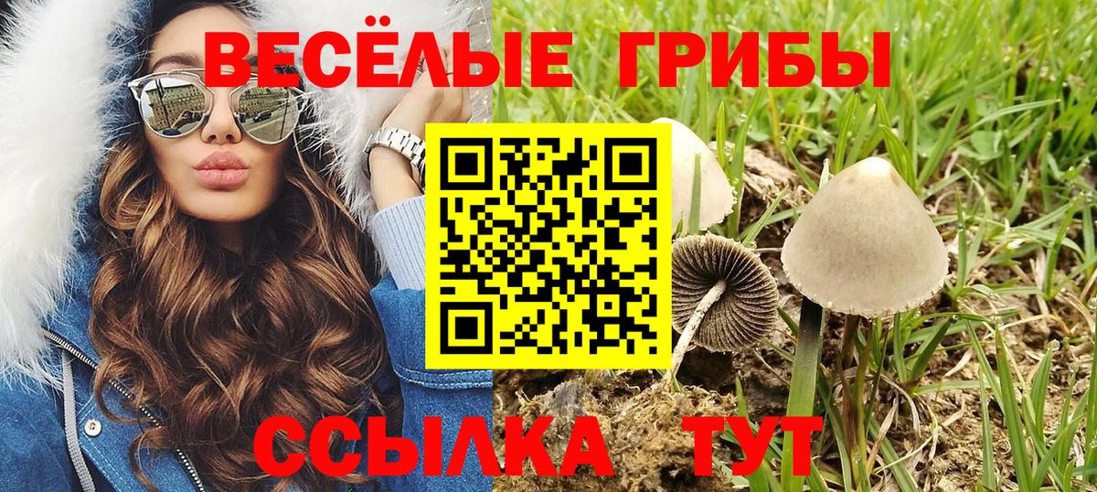 что такое   Галлюциногенные грибы мухоморы  Вход с VPN  Унеча 