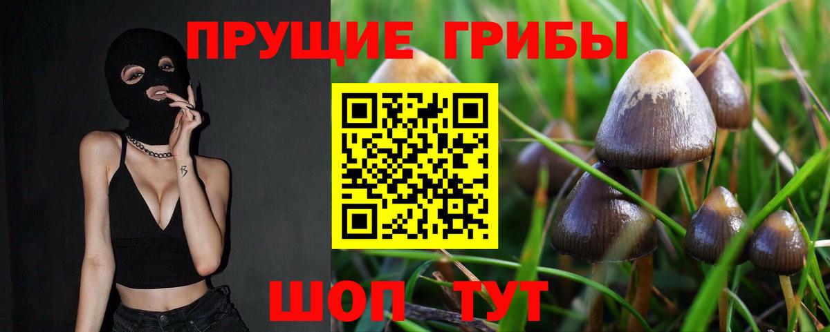 Псилоцибиновые грибы прущие грибы Унеча